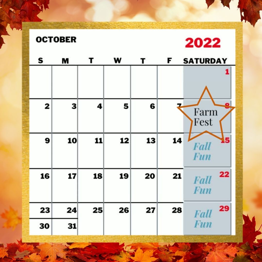 Fall Fun, Fall events, farm events, things to do with kids, kid activities, fairs and festivals