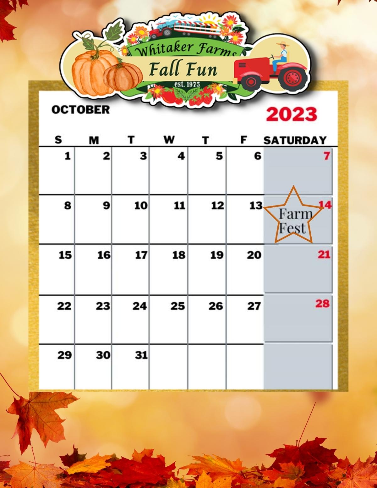 Fall Fun, Fall events, farm events, things to do with kids, kid activities, fairs and festivals