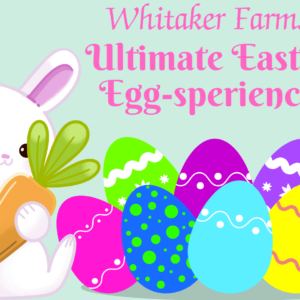 Easter, kids activities, Easter bunny, decorate Easter eggs