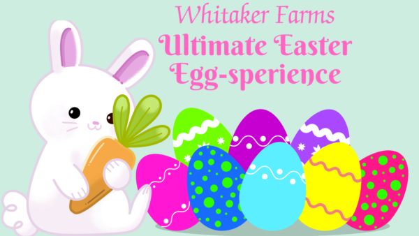 Easter, kids activities, Easter bunny, decorate Easter eggs